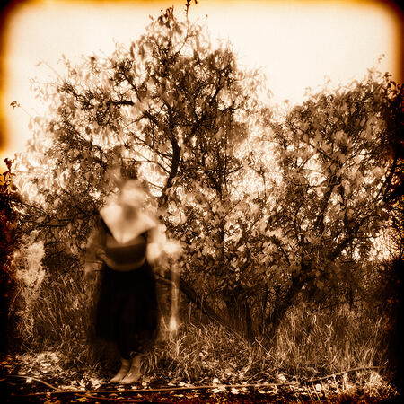 Digital Photography